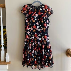 Embroidered Floral Mini Dress in Multicolor